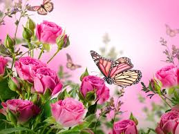 Love pink wallpaper vintage flowers wallpaper butterfly wallpaper iphone apple logo wallpaper phone screen wallpaper wallpaper iphone cute galaxy wallpaper wallpaper backgrounds butterfly pictures. Pink Roses And Butterfly Wallpapers Top Free Pink Roses And Butterfly Backgrounds Wallpaperaccess