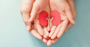 En verde, color de la donación de órganos y tejidos, en muestra de agradecimiento a los donantes, por su inmensa solidaridad, ya que, con su gesto, no solo mejora la salud, sino que salva vidas. Que Pasa Con La Donacion De Organos En Tiempos De Pandemia Tecnologico De Monterrey