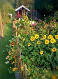 Aktueller Blumenblick 2019 Wilder Garten The Post Aktueller Blumenblick 2019 Appeared First On Flowers Vegetable Garden Design Garden Design Cottage Garden