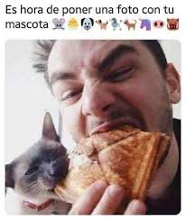 Es hora de presumir a tu gato!! Sube su foto juntos. C O N C U R S O ! !  PARTICIPA CIERRA EL DOMINGO 11 DE NOVIEMBRE A LAS 11.11 AM