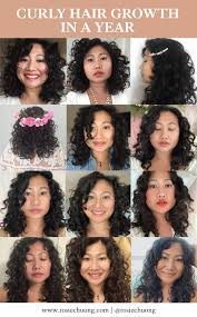 Thinking about a new hair color or haircut? Hair Growth In A Year For Naturally Curly 2c 3a Hair In 2020 Curly Hair Styles 3a Hair 3a Curly Hair