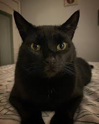 Tabitha Goodale (@tabithaballmusic) • Instagram photos and videos