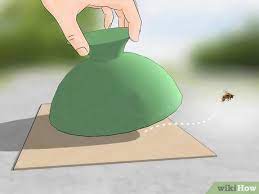 Apply a knockdown insect aerosol spray to the nesting holes. 3 Ways To Get A Bee Out Of The House Wikihow