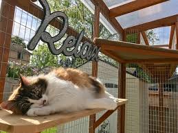 At a bigger scale, this can also work for a dog house. Catio Hacks Our Top 8 Tips For Diying Your Catio