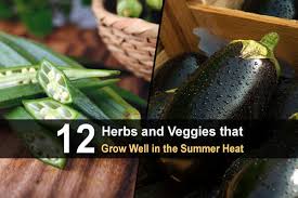 Maybe you would like to learn more about one of these? 12 Herbs And Veggies That Grow Well In The Summer Heat