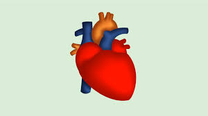 Thanks for watching, like, comment, share, and subscribe! Human Heart Drawing Easy With Color
