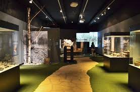 Resultado de imagen de Museo ArqueolÃ³gico de Alicante