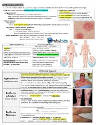 Image result for Erythema Multiforme Causes