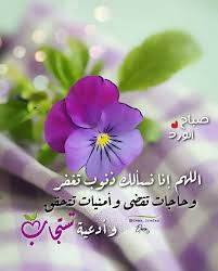 pin on صباح الخيرات والبركة