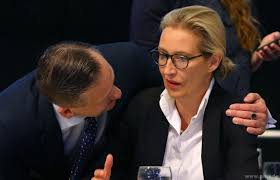 She used to be a banker for goldman sachs, giving her a bit of actual credibility in the realm of economics. Einzigartiger Protest Gegen Auftritt Von Alice Weidel Afd Pnp Oberpfalz