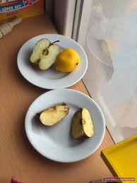 Butun Yarim Ceyrek Kavrami Etkinligi Ve Calisma Sayfasi Kalibi Calisma Okul Oncesi