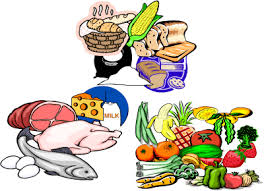 Glow Foods Clipart Clip Art Library