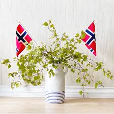 Alle illustrasjoner og tegninger fra tegninger.no lastes automatisk ned til din konto ved fullført betaling. 17 Mai Hjemmeversjonen Enklere Smabarnsliv