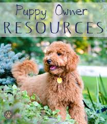 Unlike other movie, puppy culture of the litter of puppies was tracked for three years, so you can see real results puppy. Puppy Owner Resources Timberidge Goldendoodles