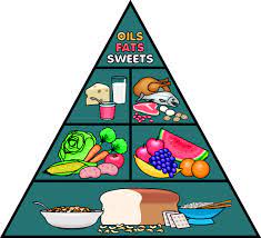 Cari tahu cara merancang pola makan sehat yang ideal gizi seimbang bisa dimulai dengan pola makan yang baik. Piramid Makanan Seimbang Pendidikan Jasmani Kesihatan