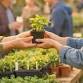 Spring Garden Expo