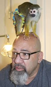 Monkeys are 'part of the family'