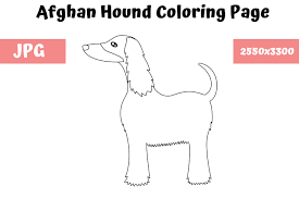 Simply click on the download free pdf button. Afghan Hound Coloring Page For Kids Graphic By Mybeautifulfiles Creative Fabrica