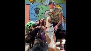 En el programa de televisión am, oreiro sorprendió cuando contó que su hijo pide esos alimentos a la mañana y a la noche y que hace muy poco conoció. Natalia Oreiro Ricardo Mollo Y Su Hijo Merlin Atahualpa Apoyando A Proyecto 4 Patas Youtube