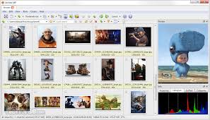 Las principales herramientas de software incluyen imágenes de cambio de tamaño, el trabajo con el portapapeles, creación de imágenes animadas, el cambio de gamma, contraste y el brillo. Xnview Mp 64 Bit Descargar 2021 Ultima Version Para Windows 10 8 7