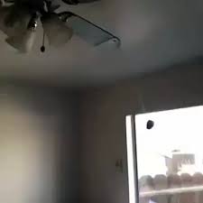 The bird activity theme is in the rainbow resource room. A Potato Flew Around My Room Before You Came Too Fast Vine Video Dailymotion
