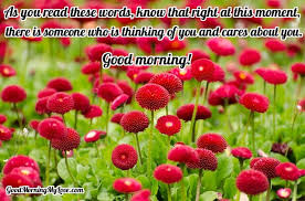 You can also create a great combination with a good and a special greeting. 71 Good Morning Messages For Friends Loved Ones