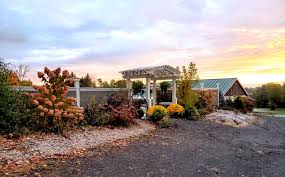 Albany Ny Outdoor Wedding Venue Pond Hill Pavilion Pavilion Wedding Outdoor Wedding Venues Outdoor Wedding