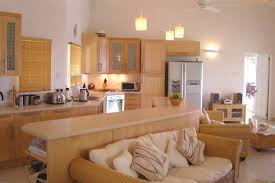 blending modern kitchens with living