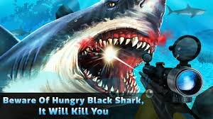 Start creating augmented reality experiences and effects without coding or special software. Shark Hunting For Android Apk Download