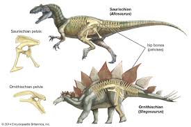 dinosaur classification britannica