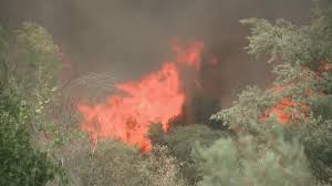 Test your knowledge and play our quizzes today! Dixie Fire Forces Expanded Evacuations In Plumas County Road Closures In Oroville