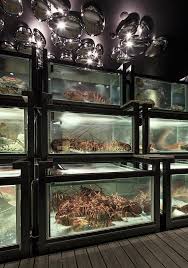 Modern Chinese Seafood Cuisine Seafood Tank Restaurant Interior Restaurant Interior Design