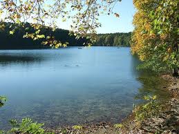 Schlachtensee Berlin Germany Berlin Summer Heat