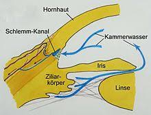 Glaucoma is one of the leading causes for. Glaukom Wikipedia