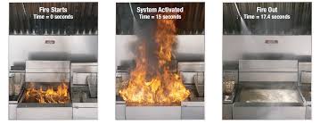 buckeye kitchen mister fire suppression
