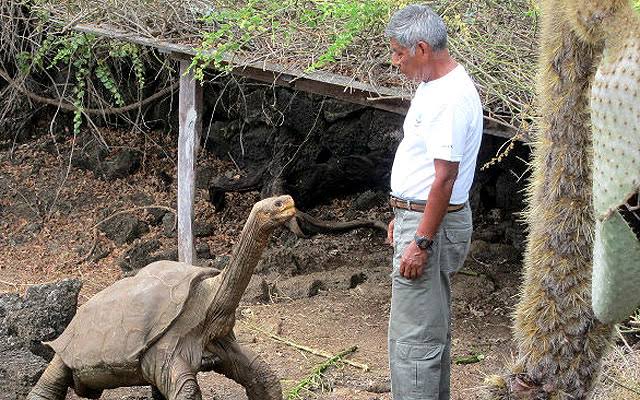 RIP 'Lonesome George': World's Last Pinta Giant Tortoise Dies