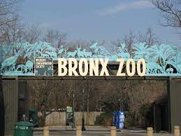 Bronx Zoo Bronx New York Bronx Zoo New York Zoo New York Attractions