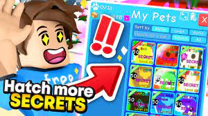 Easiest Secret Pets To Get In Bubblegum Simulator Roblox Youtube