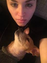 WANTAGH, NY Tucker loves to be outside with his friends at the shelter  whether he just hangs out, trains or plays with them. He is only four and a  half years old