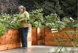 Raised Beds For Those Who Are Over The Whole Bending Thing Met Afbeeldingen Easy Layout Diys