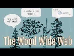 6 The Beacon Doodles Ep 2 What S On The Wood Wide Web Youtube Green Nature Underground World Doodles