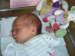 Index of /florence.andre/themes