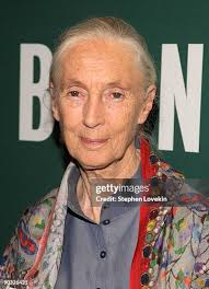 30 Jane Maynard Stock Photos, High-Res Pictures, and Images