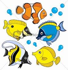 Image 1065088 Coral Fish Collection From Crestock Stock Photos Fish Art Fish Drawings Fish Vector