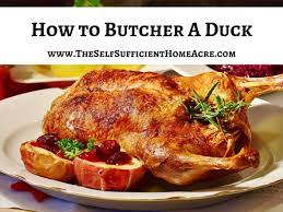 How To Butcher A Duck With Complete Instructions - The Self Sufficient  Homeacre