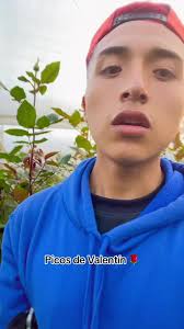 Corazón De Valentín Trabajo