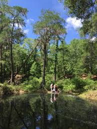nsf rapid sinkhole project