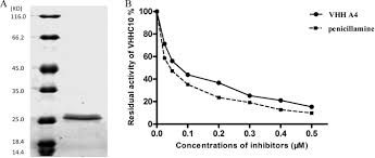 V805 application of the substance / the mixture laboratory chemicals. Molecular Imprint Of Enzyme Active Site By Camel Nanobodies Rapid And Efficient Approach To Produce Abzymes With Alliinase Activity Sciencedirect