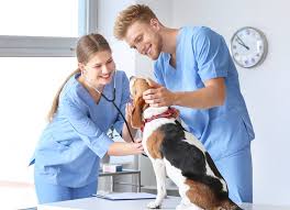 This communications assistant job description template is ready to customize to your company's needs and post on online job boards or careers pages. Online Veterinary Assistant Training University Of North Dakota