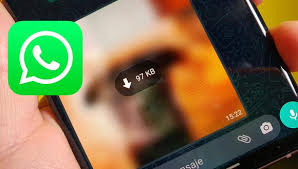 Recursos gráficos para descarga gratuita. Whatsapp Como Volver A Descargar Una Foto Borrada O Eliminada Smartphone Wasap Celulares Photo Tutorial Truco 2020 Viral Wsp Web Estados Unidos
